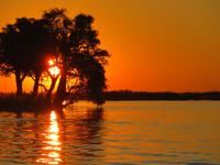Bootsfahrt auf dem Chobe-River - Sonnenuntergang