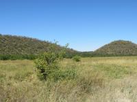 Fahrt durch den Chobe-Nationalpark zum Moremi-Park -