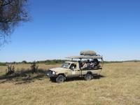 Fahrt durch den Chobe-Nationalpark zum Moremi-Park