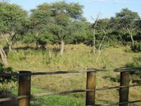 Mogotlho Safari Lodge -