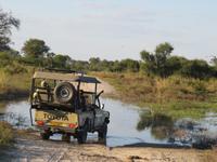 Pirschfahrt  in der Mababe Konsesion