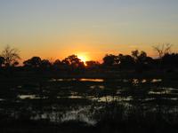 Mababe Konsesion - Sonnenuntergang am Khwai River