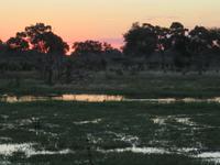 Mababe Konsesion - Sonnenuntergang am Khwai River