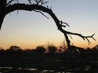 Mababe Konsesion - Sonnenuntergang am Khwai River