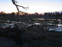 Mababe Konsesion - Sonnenuntergang am Khwai River