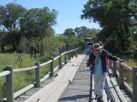 Fahrt nach Maun - Moremi Reservat  - Wir gehen über die schmale Holzbrücke