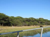 Speedbootfahrt auf dem Thamalakne River