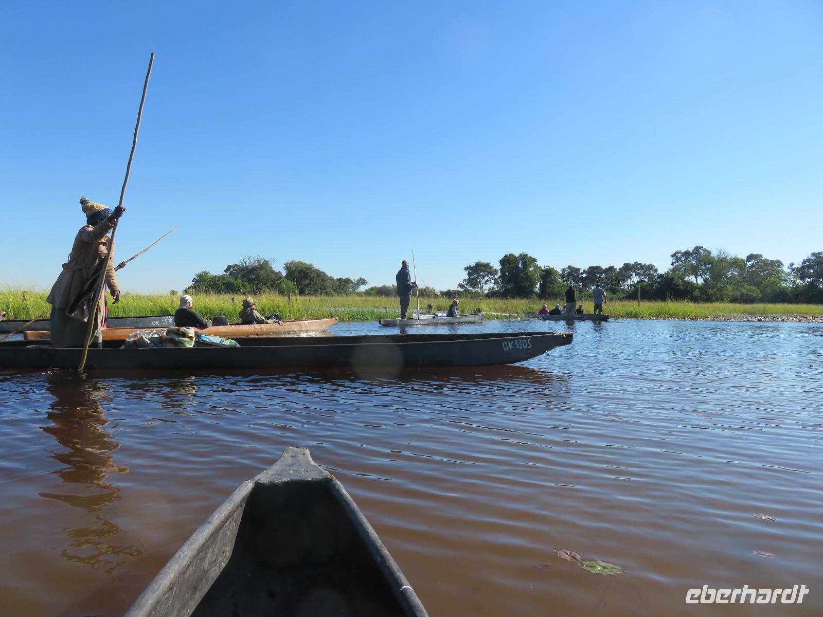 Fahrt mit den Mokoros im Okawango-Delta