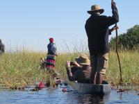Fahrt mit den Mokoros im Okawango-Delta