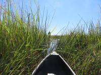 Fahrt mit den Mokoros im Okawango-Delta