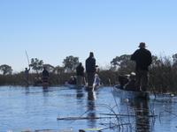 Fahrt mit den Mokoros im Okawango-Delta