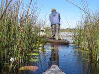 Fahrt mit den Mokoros im Okawango-Delta