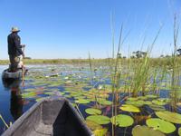 Fahrt mit den Mokoros im Okawango-Delta