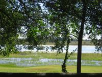 Thamalakane River Lodge - Blick zum Fluss