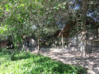 Thamalakane River Lodge -