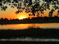 Thamalakane River Lodge - Sonnenuntergang über dem Fluss