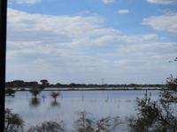 Fahrt nach Nata - die überschwemmte Savanne