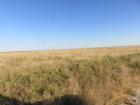 Pirschfahrt in der Sowa Pfanne -