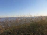 Pirschfahrt in der Sowa Pfanne - die Pfanne ist auf Grund der starken Regenfälle mit viel Wasser gefüllt