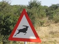 Fahrt zum Hwange Nationalpark