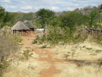 Fahrt zum Hwange Nationalpark