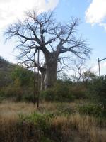 Fahrt zum Hwange Nationalpark