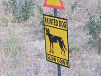 Fahrt zum Hwange Nationalpark -