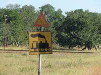 Pirschfahrt im Hwange Nationalpark -
