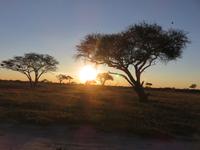 Pirschfahrt im Hwange Nationalpark - Sonnenuntergang