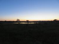 Pirschfahrt im Hwange Nationalpark - Sonnenuntergang