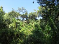 Victoria Wasserfälle