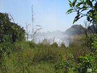 Victoria Wasserfälle