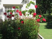 The Victoria Falls Hotel