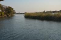 Flussfahrt auf dem Okavango 