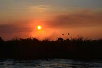 Sonnenuntergang auf dem Chobefluss