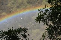 Sogar mit Regenbogen!
