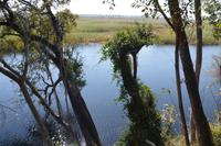 Ausblick auf den Kwandofluss