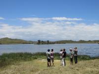 Vogelbeobachtung am kleinen Momellasee