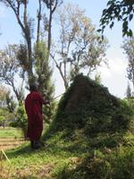 Daniel erklärt uns einen Termitenhügel