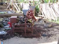 hier werden die Kaffeebohnen aus der Hülse entfernt