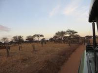 afrikanische Straßensperren