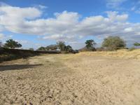 Flußbett im Tarangire Nationalpark. Der Fluss verläuft zum Teil unterirdisch