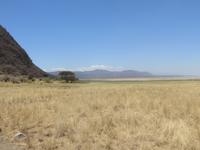 Landschaft am Afrikanischen Grabenbruch, Manyara Nationalpark
