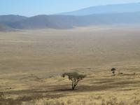 Abstieg in die Caldera