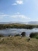 Blick auf das Wasserloch, Ngorogoro Krater