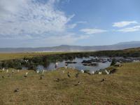 Blick auf das Wasserloch, Ngorogoro Krater