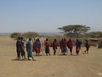 Besuch im Massai Dorf