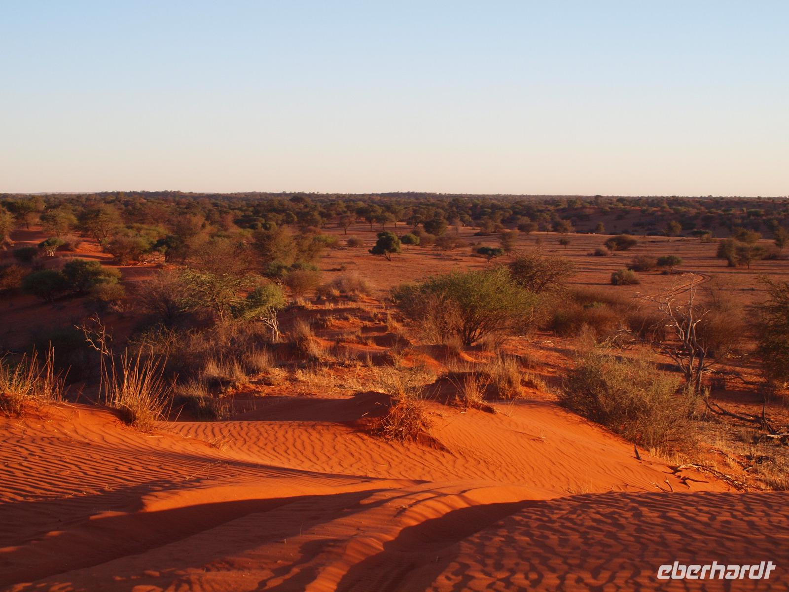 im Intu Afrika Kalahari Reservat - Sundowner
