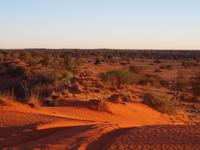 im Intu Afrika Kalahari Reservat - Sundowner
