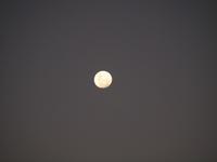 im Intu Afrika Kalahari Reservat